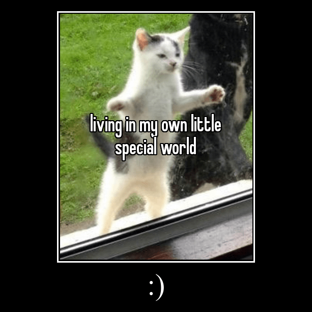A motivational poster with the caption :) i.e. a smiley face. The image in the centre is a post from the site Whisper, of a tiny black and white cat standing on its hind legs while leaning with its forepaws against a window pane. The text over the cat reads, 'living in my own little special world'